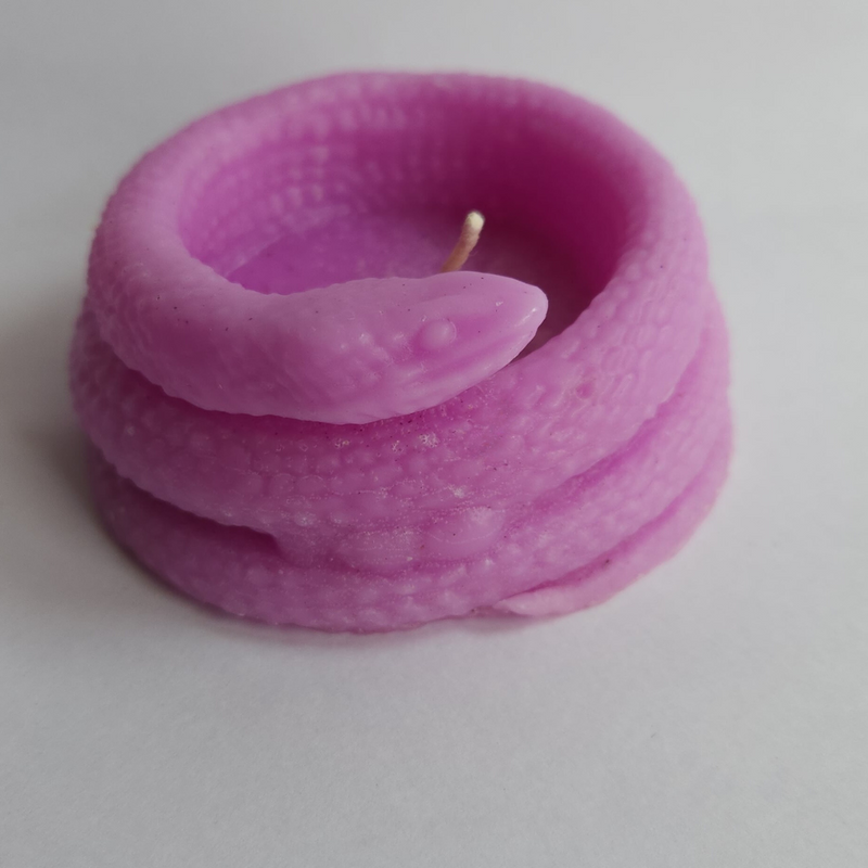 Handcrafted Small Snake Soy EcoFriendly Candles